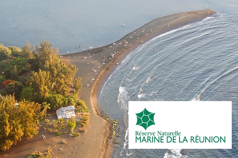 Candidature au conseil d'administration de la Réserve Marine